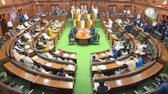 दिल्ली विधानसभा में गजब नौकरी! 8 घंटे शिफ्ट, काम- बंदरों को भगाना, कितना रुपया मिलेगा?