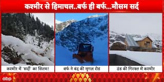 New Year Cold Wave: Heavy Snowfall Grips Kashmir, Chill Intensifies Across North India