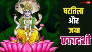 January Ekadashi 2026: जनवरी में एकादशी कब-कब ? नोट करें षटतिला और जया एकादशी की डेट