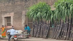 பொங்கல் வரும் பின்னே... கரும்பு வந்தது முன்னே: தஞ்சையில் விற்பனை ஆரம்பம்