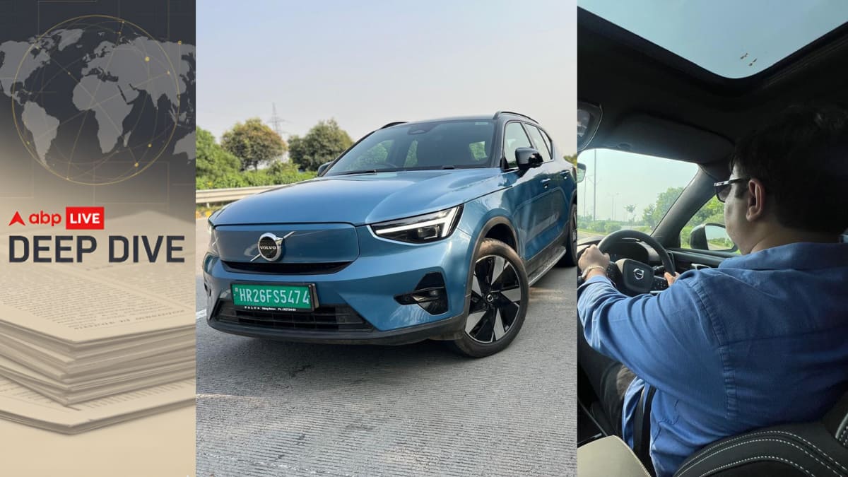 The Art of Baking: From Classic Bread to Artisan Pastries