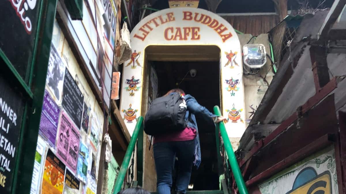 (Image Source: Twitter/@whatcandotoday)