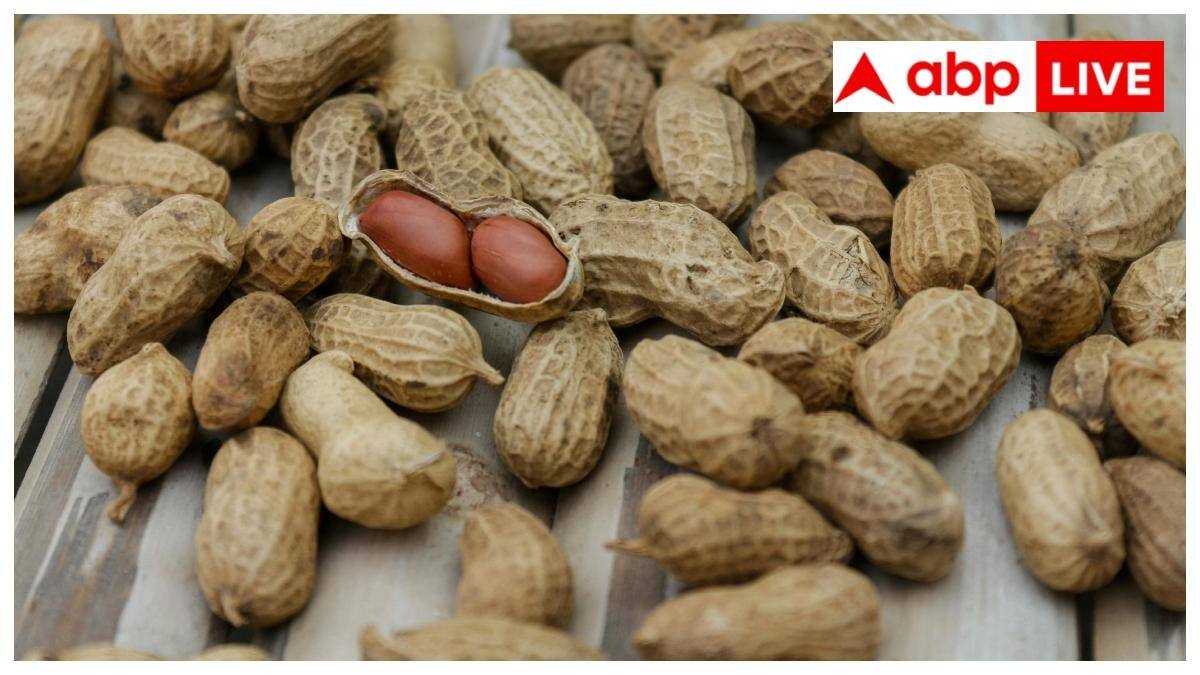 कहीं जरूरत से ज्यादा मूंगफली तो नहीं खा रहे आप, जानें एक दिन में कितनी खाना सही?