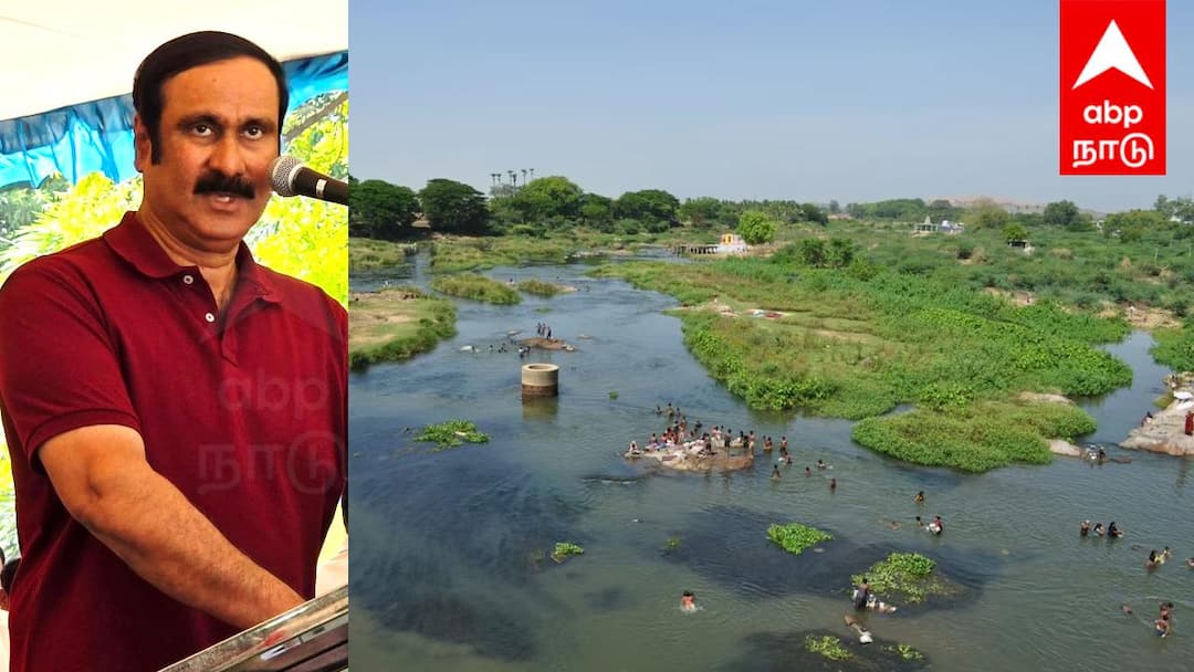 தாமிரபரணியைக் காக்கத் தவறிய அரசு: உயர்நீதிமன்ற நடவடிக்கை வரவேற்கத்தக்கது - மருத்துவர் அன்புமணி இராமதாஸ் !