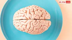 Dehydration: ડિહાઇડ્રેશનની મગજ પર પડે છે અસર, જાણો પાણીની અછતથી શરીરને કેટલું થાય છે નુકસાન