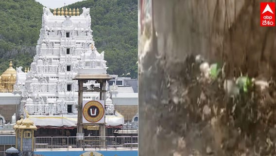 Liquor Bottles in Tirumala: తిరుమలలో మద్యం బాటిళ్ల కలకలం, స్పందించిన టీటీడీ- భూమన కరుణాకర్ రెడ్డి ఆగ్రహం