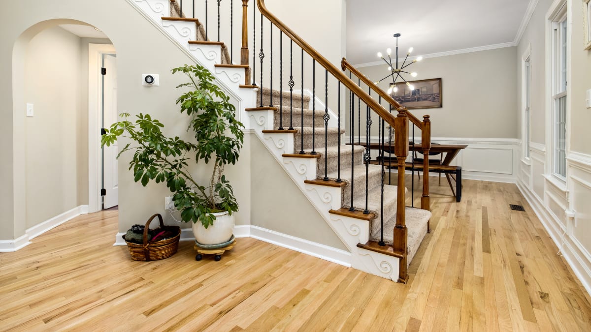 From Earthy Neutrals To Royal Hues: Colour Combinations That Elevate Indian Homes