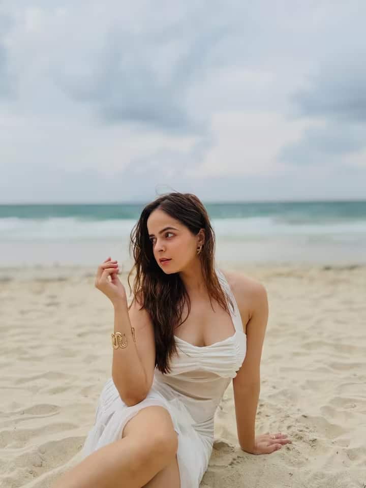 अभिनेत्री पलक सिंधवानी सोशल मीडिया पर काफी सक्रिय हैं। हाल ही में उन्होंने इंस्टाग्राम पर अपनी कुछ तस्वीरें साझा कीं, जिनमें वह बेहद खूबसूरत लग रही हैं।