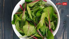 सर्दियों में खाएं ये 6 सुपर पावरफुल साग, फायदे जानकर रह जाएंगे हैरान