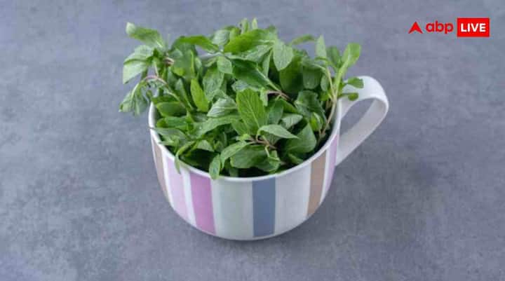 मेथी सर्दियों में शरीर को गर्म रखने और जोड़ों की ताकत बढ़ाने के लिए बेहतरीन है. जोड़ों और कमर दर्द में राहत देती है, डायबिटीज कंट्रोल में मदद करती है, पाचन तंत्र मजबूत करती है और वजन घटाने में सहायक है.