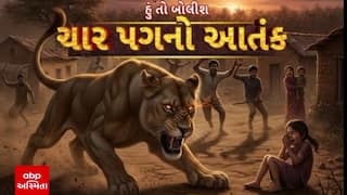 Hun To Bolish : હું તો બોલીશ : ચાર પગનો આતંક