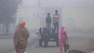 Cold Wave & Dense Fog To Grip Punjab, Chandigarh Under Orange Alert