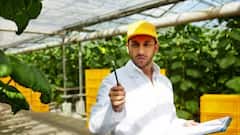 Food Inspector: ફૂડ ઇન્સ્પેક્ટર કેવી રીતે બનવું અને કેટલી સેલેરી મળે છે, જાણો