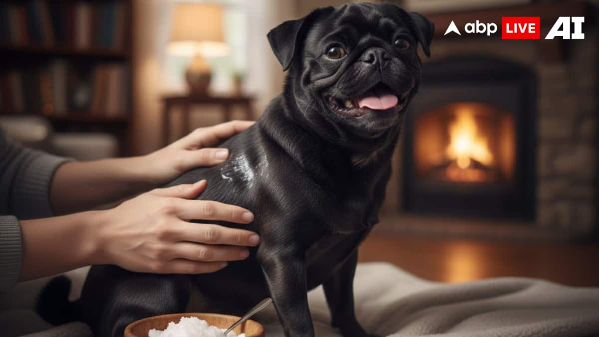 (Image Source: ABPLIVE AI)