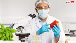 Food Inspector: ફૂડ ઇન્સ્પેક્ટર કેવી રીતે બનવું અને કેટલી સેલેરી મળે છે, જાણો