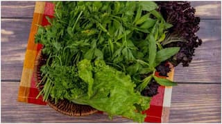 Best Leafy Greens : శీతాకాలంలో ఈ 6 ఆకుకూరలు తినండి.. ఆరోగ్యానికి ఎన్నో ప్రయోజనాలు ఉన్నాయట