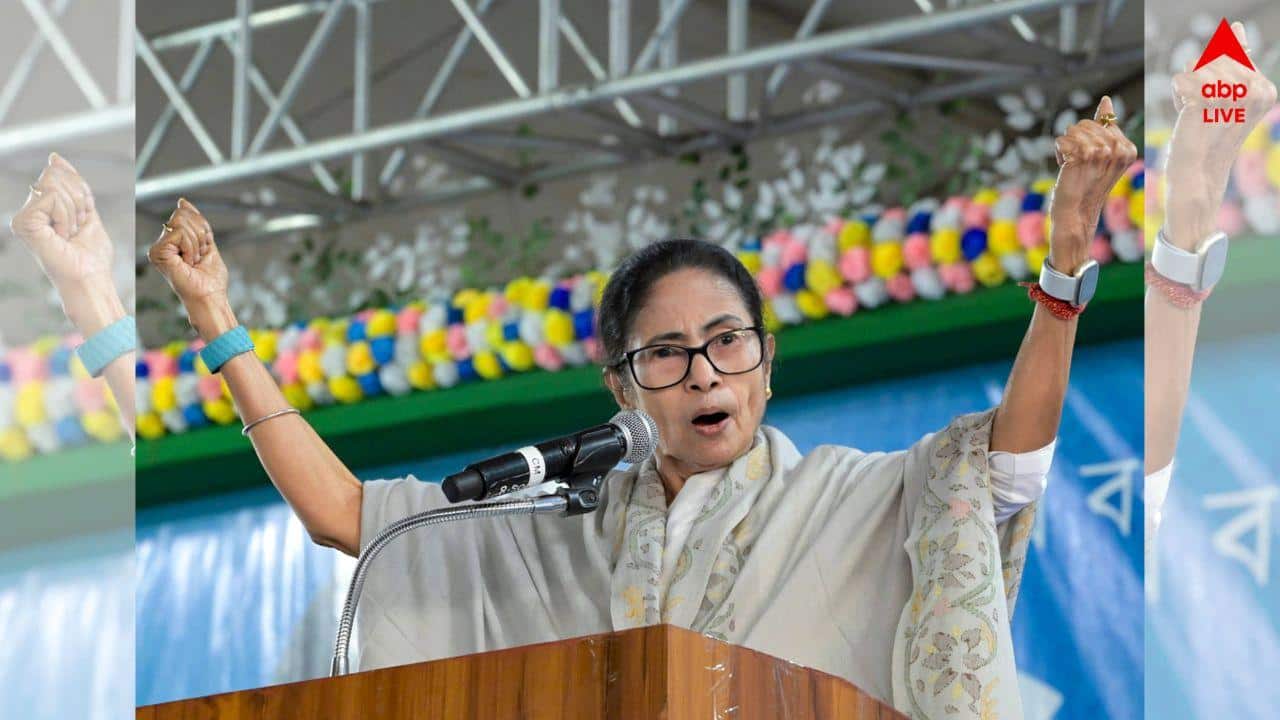Mamata Banerjee : 'দরকার হলে আমিও সুপ্রিম কোর্টে গিয়ে প্লিড করব', SIR রুখতে 'আইনের সাহায্য' নেওয়ার ঘোষণা মুখ্যমন্ত্রীর