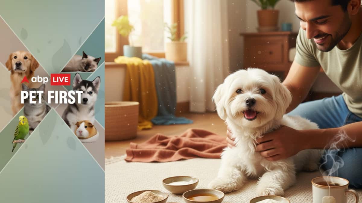 The Art of Baking: From Classic Bread to Artisan Pastries