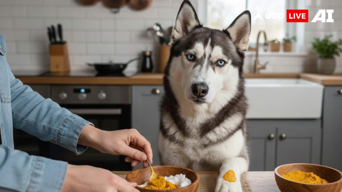 (Image Source: ABPLIVE AI)