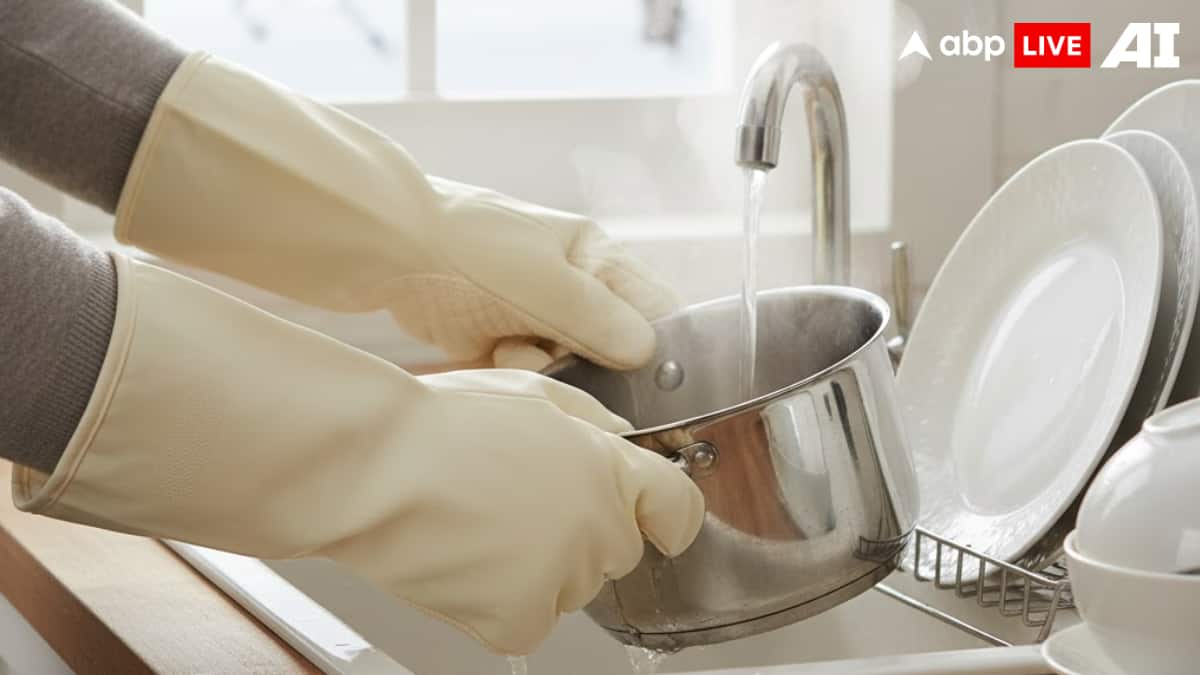 (Image Source: ABPLIVE AI)