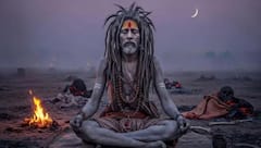 మాఘ మేళా 2026 లో అఘోర సాధువులు! అఘోరగా మారేందుకు ఇవన్నీ చేయాలి!