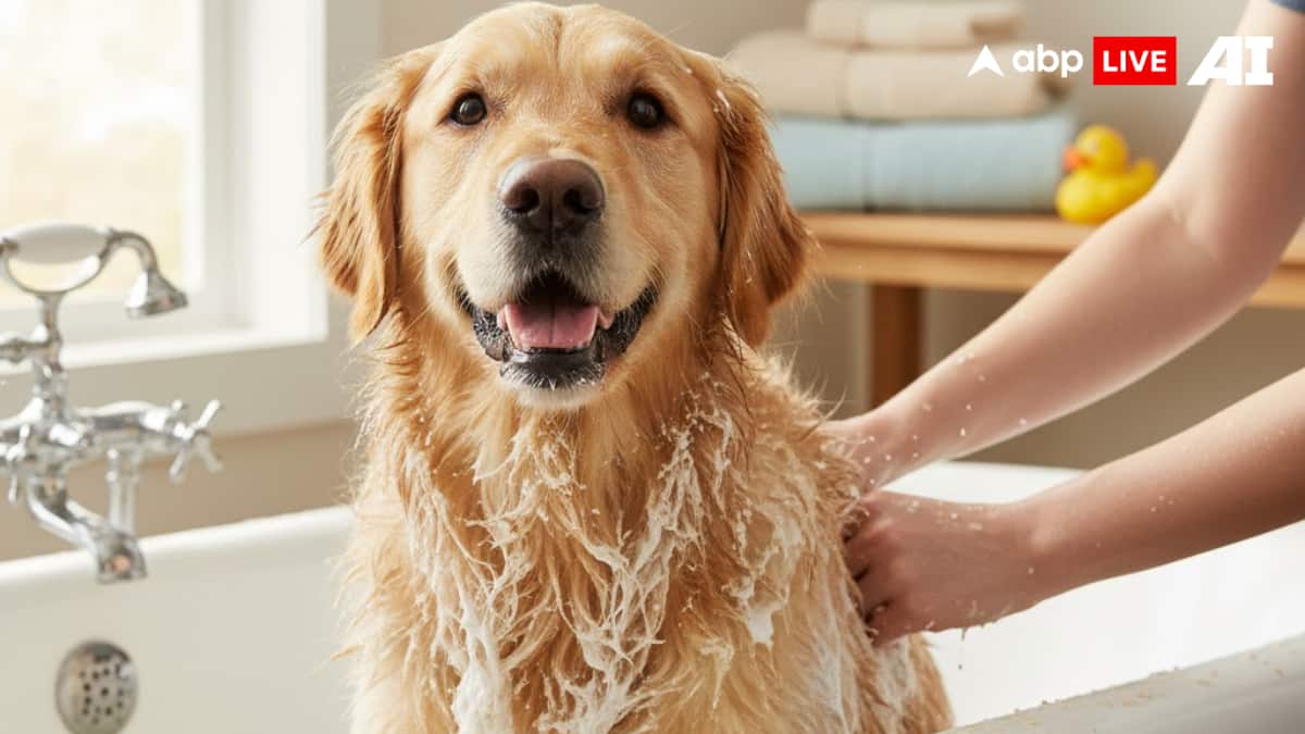 (Image Source: ABPLIVE AI)