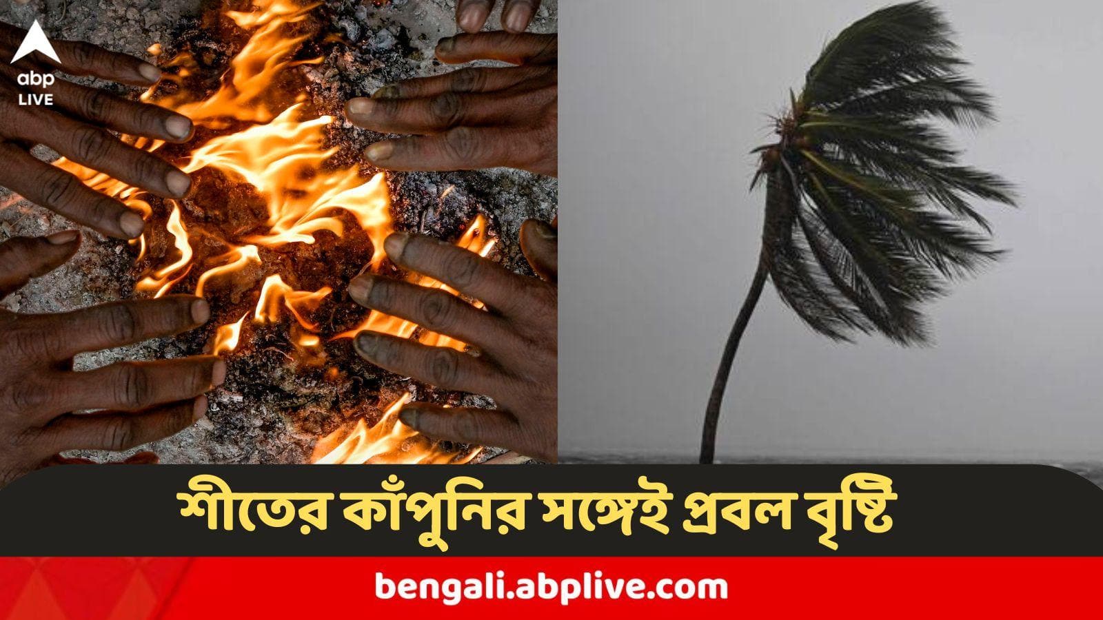 Weather Update : আরও বাড়বে শীতের কাঁপুনি, সঙ্গে আসছে ঝমঝমিয়ে বৃষ্টি, ৩ জেলার জন্য বড় পূর্বাভাস আবহাওয়া দফতরের