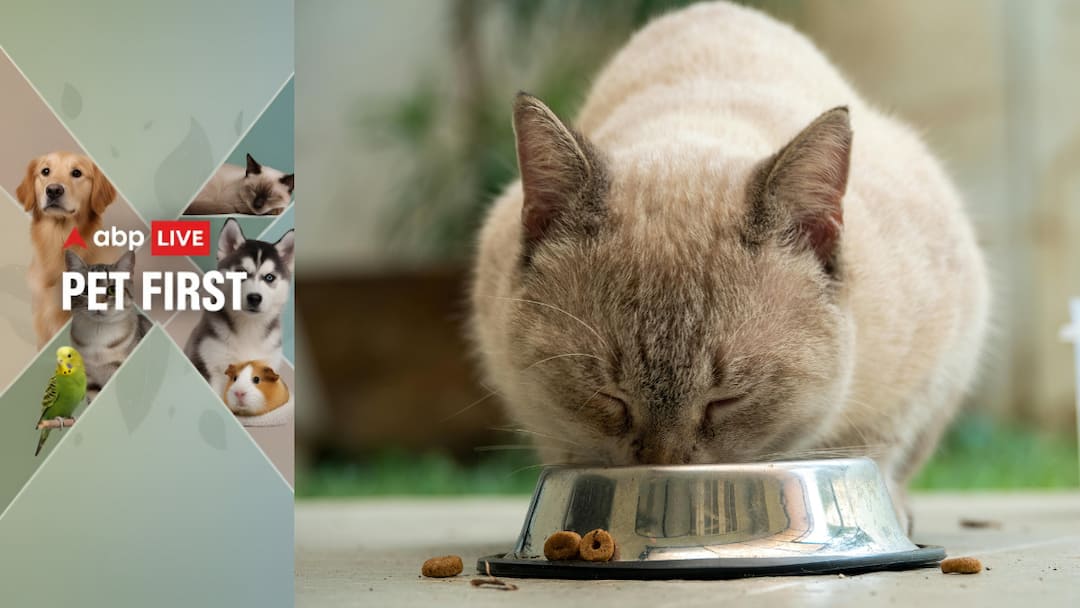 ABP Live Pet First: Understanding Pet Nutrition, Immunity And Smarter Food Choices