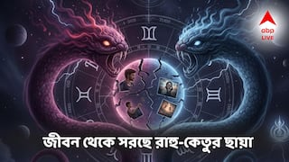 Rahu Ketu Gochar: জীবন থেকে সরে যাবে রাহু-কেতুর ছায়া, কোটিপতি যোগে এই রাশিতে পর পর সুখবর!