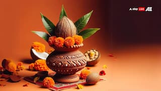 Magh Gupt Navratri 2026: Check Out The Date, Muhurat, Rituals And All About This Sacred Festival