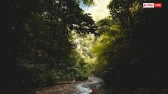 इस स्टेट में जारी हुआ फारेस्ट गार्ड भर्ती के लिए नोटिफिकेशन, जानें कौन और कैसे कर सकेंगे आवेदन?