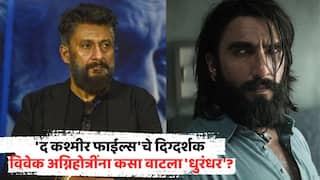 Vivek Agnihotri On Dhurandhar Movie: 'असा सिनेमा बनवण्यासाठी...'; 'द कश्मीर फाईल्स'चे दिग्दर्शक विवेक अग्निहोत्रींना कसा वाटला 'धुरंधर'?