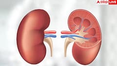 Kidney Damage Signs: हाथ-पैरों पर सबसे पहले दिखते हैं किडनी डैमेज के ये लक्षण, ये 5 साइन तो 99% कर देते हैं इग्नोर