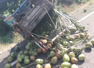 Gir Somnath: તાલાલામાં રક્તરંજીત મંગળવાર! ટ્રિપલ અકસ્માતમાં કાકા-ભત્રીજા સહિત 3 ના મોત, લગ્નની ખુશી માતમમાં ફેરવાઈ