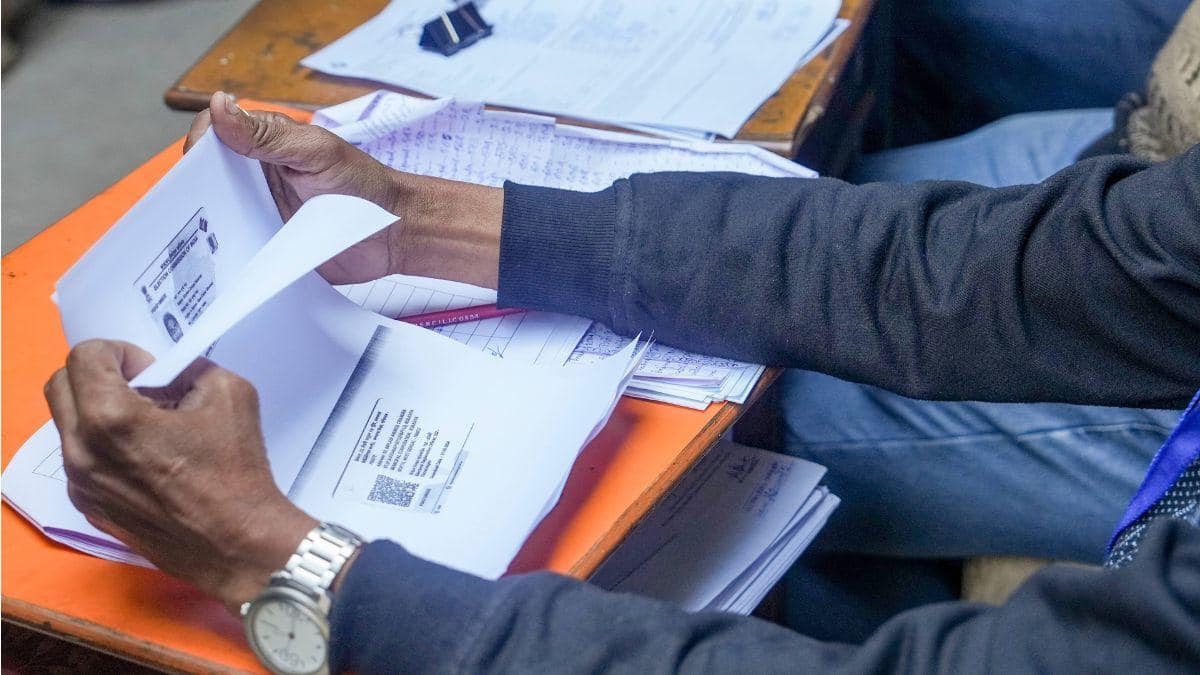 The Art of Baking: From Classic Bread to Artisan Pastries