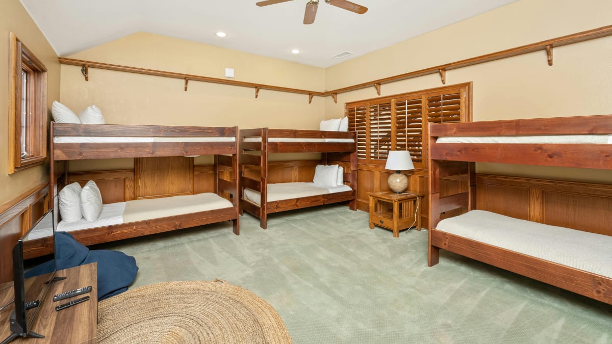 (Image Source: Canva)