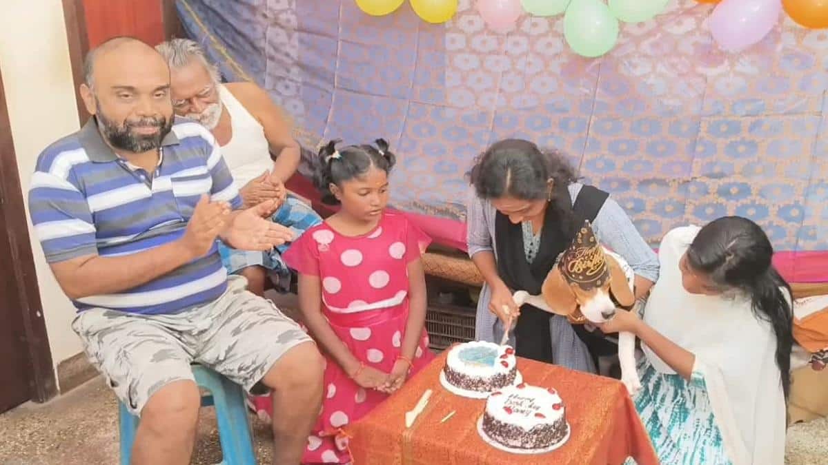 அழகியே... பிறந்த நாள் வாழ்த்துக்கள்: செல்லப்பிராணிக்கு கேக் வெட்டி கொண்டாடிய குடும்பம்
