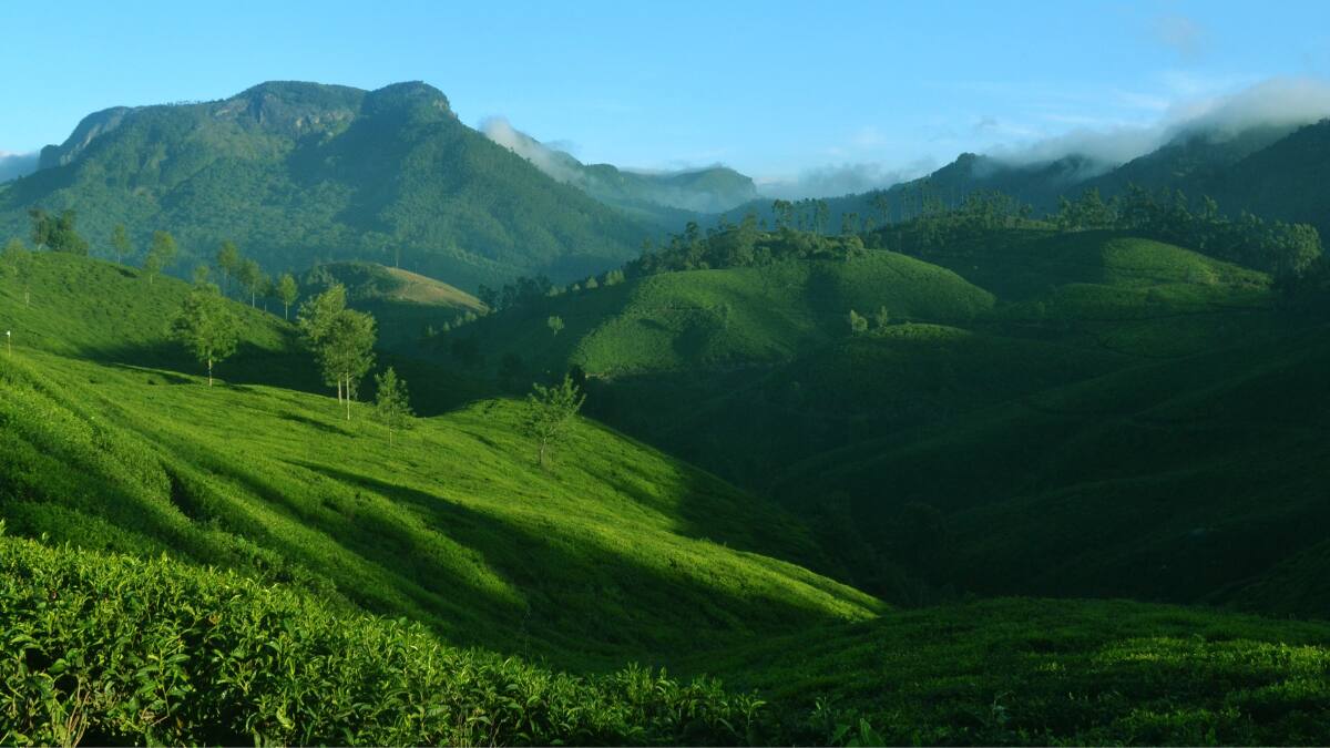 (Image Source: Canva)