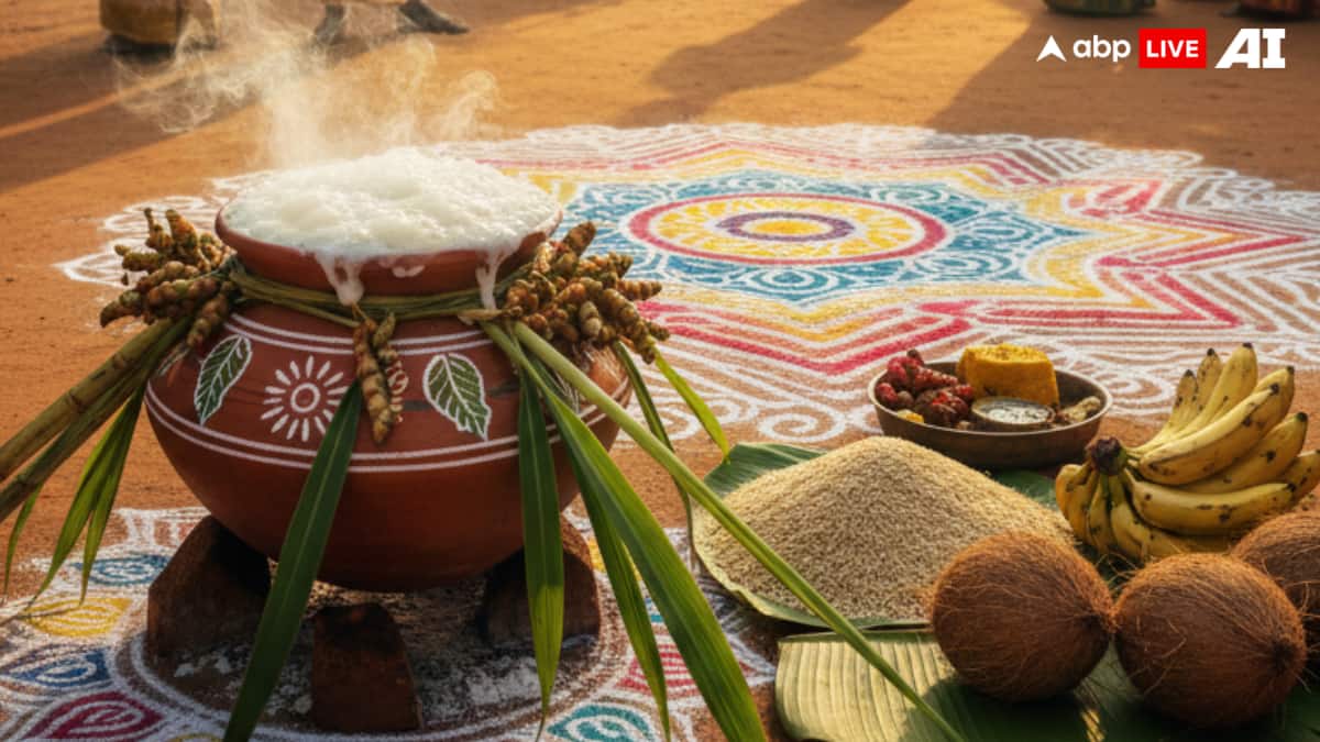 Pongal 2026: Date, Significance, And All You Need To Know About This Vibrant Harvest Festival