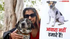 ABP Exclusive | ‘Jailing Dogs Is Not Scientific Nor Supported In Law’: PETA Submits Roadmaps To SC