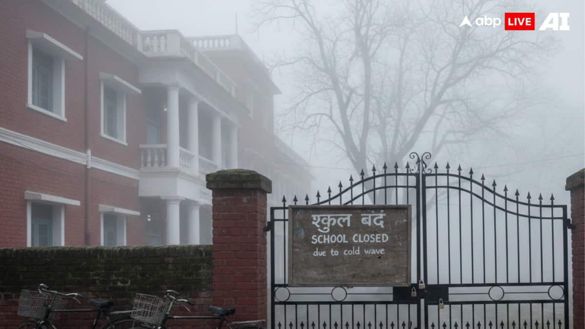 The Art of Baking: From Classic Bread to Artisan Pastries
