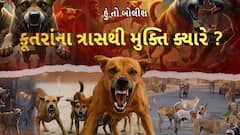 Hun To Bolish : હું તો બોલીશ : કૂતરાંના ત્રાસથી મુક્તિ ક્યારે ?