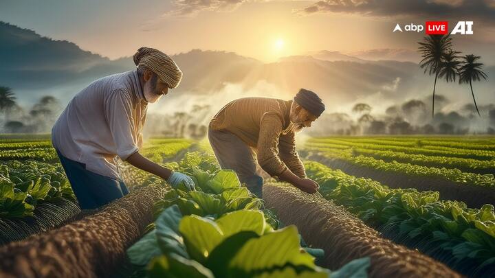 पेड़-पौधों की कटाई-छटाई से जुड़े कार्य भी मकर संक्रांति के दिन नहीं करनी चाहिए. इस दिन ये कार्य शुभ नहीं माने जाते हैं. मकर संक्रांति पर कई किसान भी अपने फसलों की कटाई नहीं करते हैं.