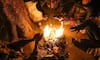 Gujarat Cold: ગુજરાતમાં હાડ થીજવતી ઠંડીને લઈ હવામાન વિભાગે કરી મોટી આગાહી