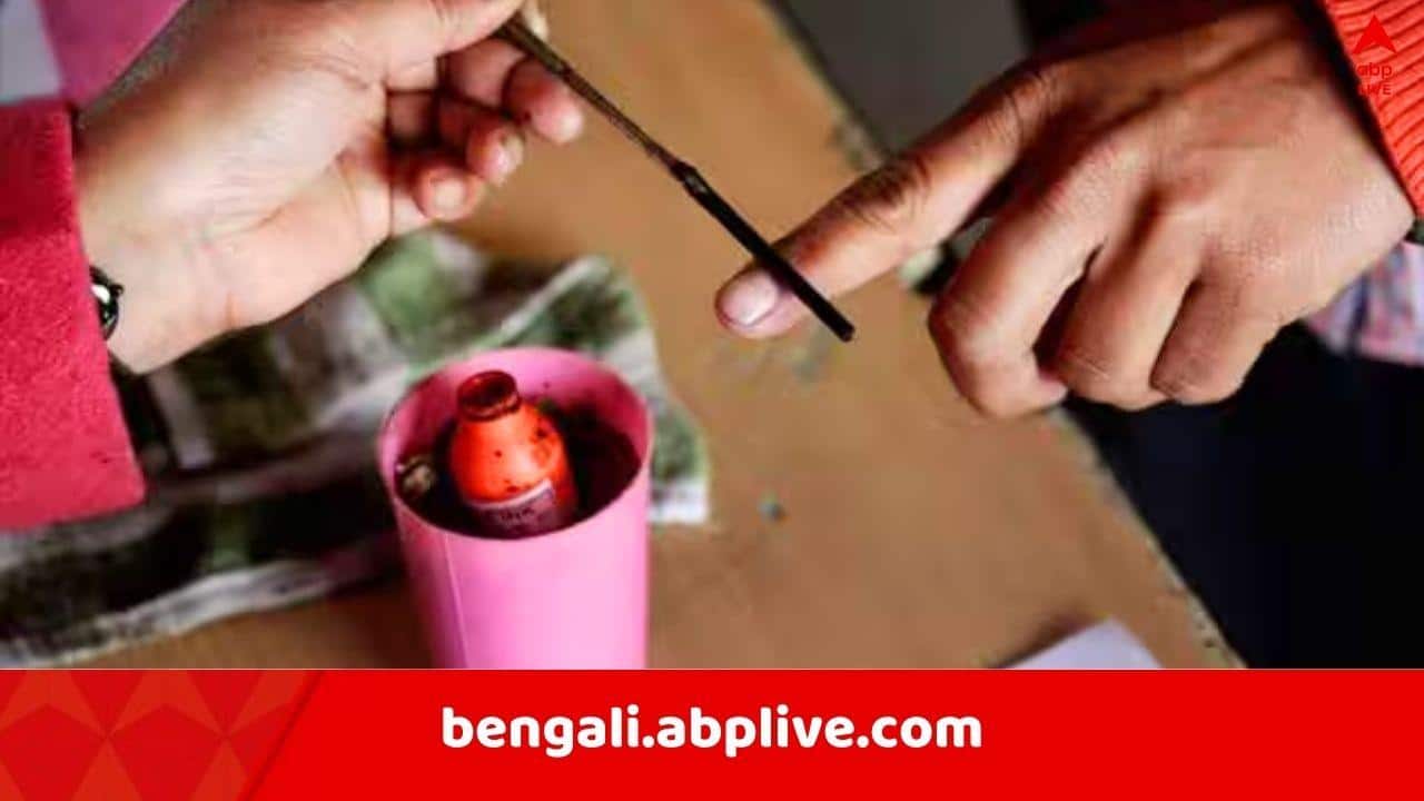 WB Assembly Poll 2026: ৩-৪ দফায় বিধানসভা ভোট?  জল্পনা তুঙ্গে ! কী বলছেন শাহ-শমীক-দিলীপরা ?