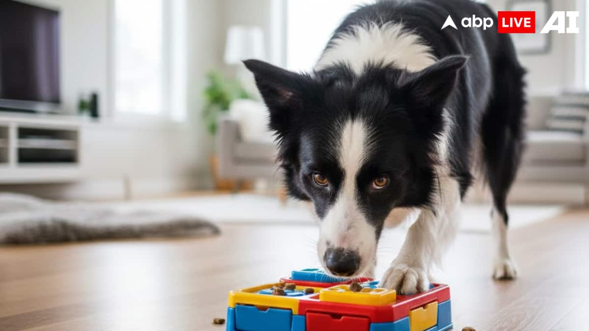 (Image Source: ABPLIVE AI)