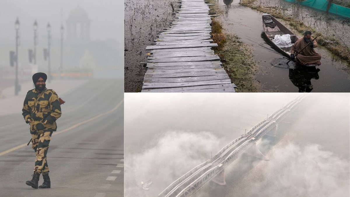 The Art of Baking: From Classic Bread to Artisan Pastries