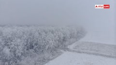 कितना तापमान कम होने पर कोई दिन कहा जाता है कोल्ड डे, क्या है इसकी परिभाषा?