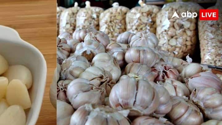 ચાઇનીઝ લસણ કેન્સર જેવી ગંભીર બીમારીઓનું કારણ બની શકે છે.  તેથી, જો તમે પણ ઓળખ્યા વગર ચાઇનીઝ લસણ વાપરી રહ્યા છો, તો એ સમજવું ખૂબ જરૂરી છે કે દેસી અને ચાઇનીઝ લસણમાં શું ફરક છે.