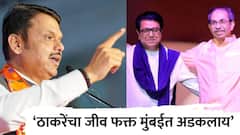 राज आणि उद्धव ठाकरेंचा जीव फक्त मुंबईत अडकलाय, त्यांना BMC काबीज करुन भ्रष्टाचार करायचाय; देवेंद्र फडणवीसांची घणाघाती टीका